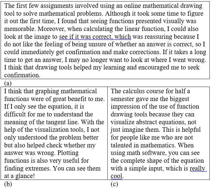 Three examples of students’ feedback on the use of mathematical software in Teaching Stage
II