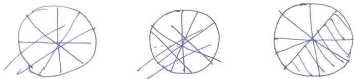 Figure 3. S2’s representation of 4/9 in
a circle